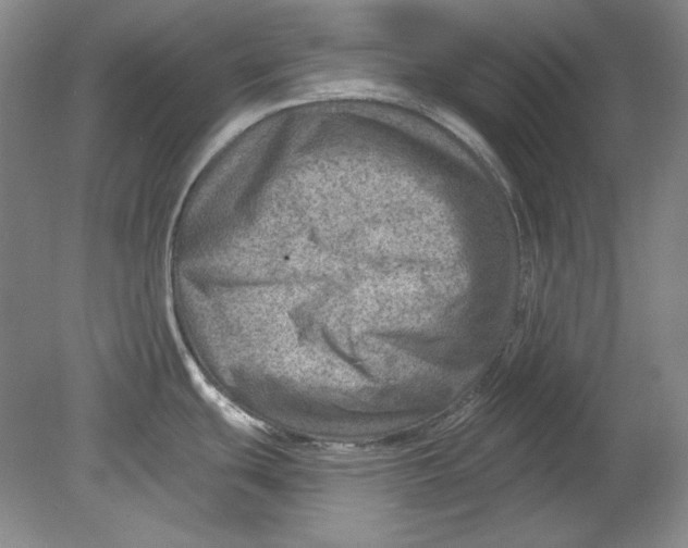 X0000080721439200701021043