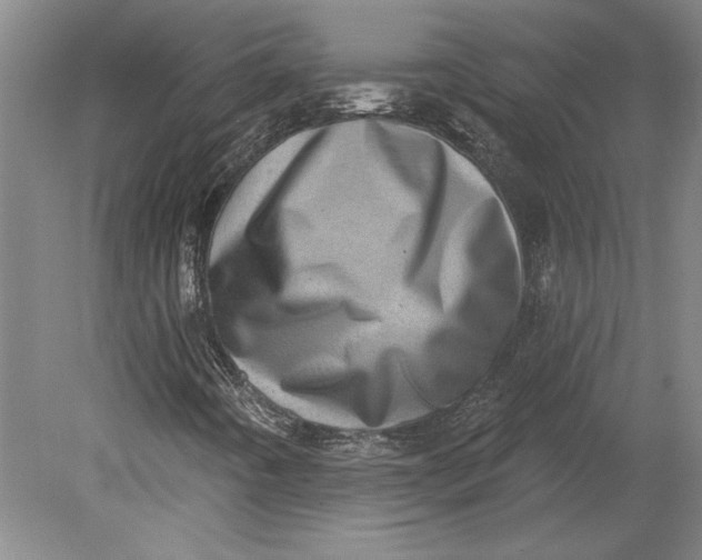 X0000080721442200701021042