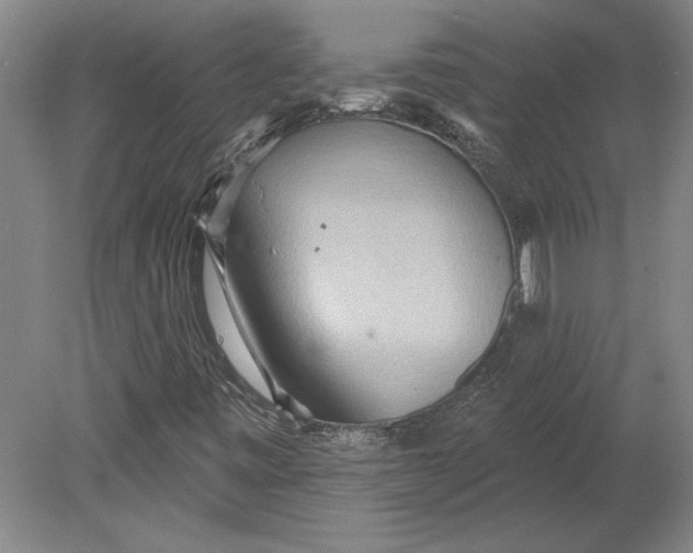 X0000080721443200701021042