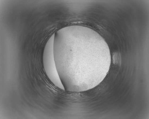 X0000080721444200701021042