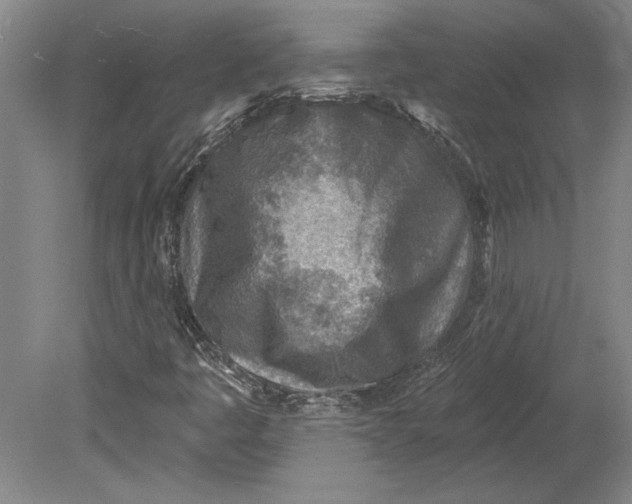 X0000080721445200701021042