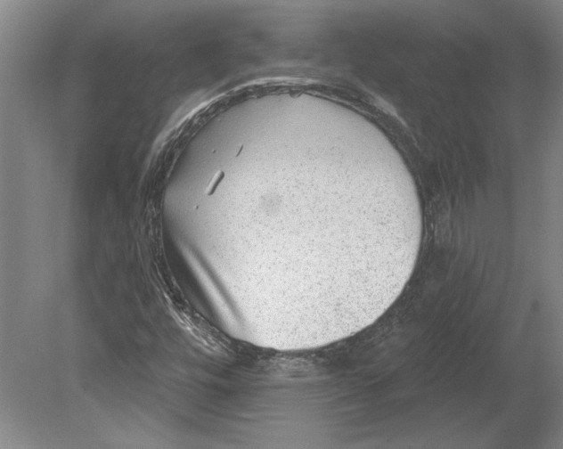 X0000080721448200701021042