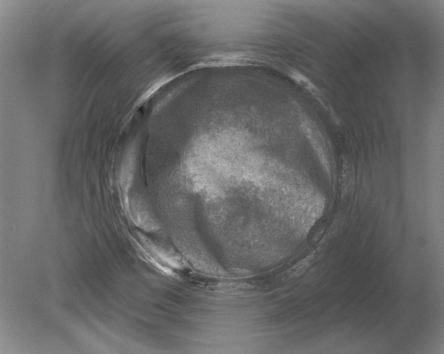 X0000080721449200701021042