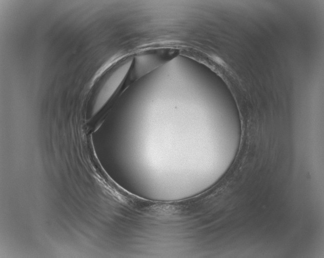 X0000080721450200701021042