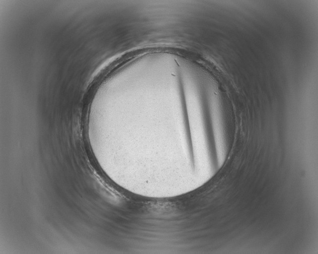 X0000080721452200701021042