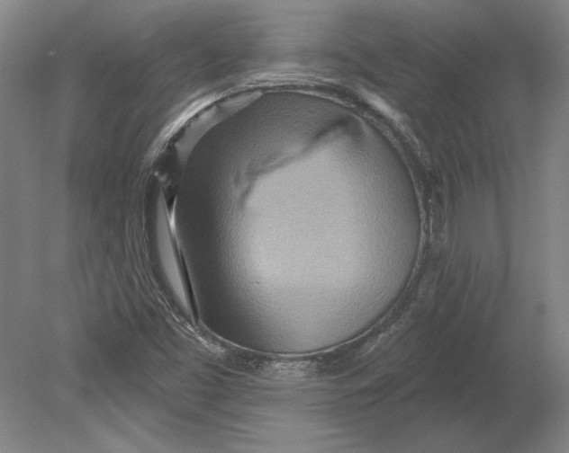 X0000080721453200701021042