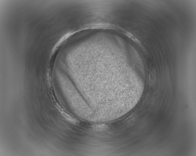 X0000080721454200701021042