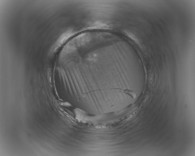 X0000080721455200701021042