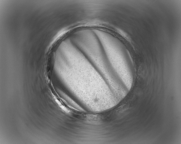 X0000080721456200701021042