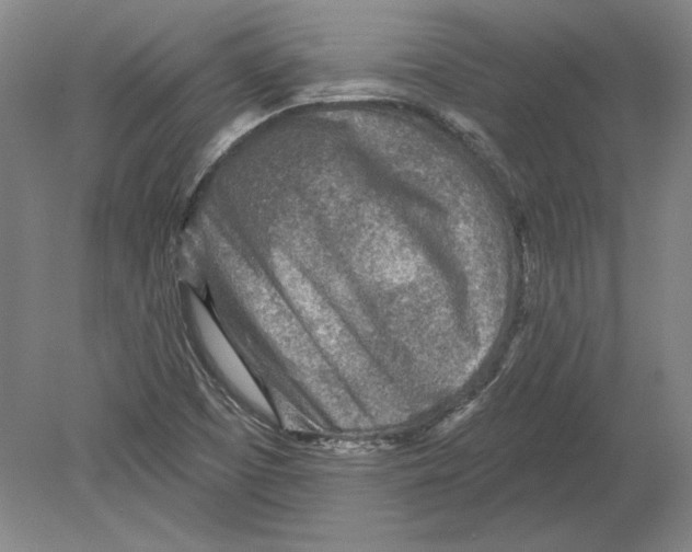 X0000080721457200701021042