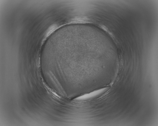 X0000080721459200701021042