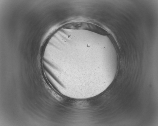 X0000080721464200701021042