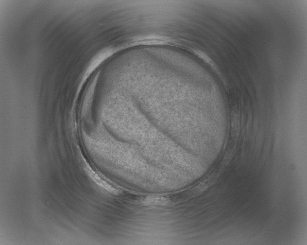 X0000080721466200701021041