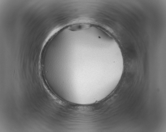 X0000080721469200701021041