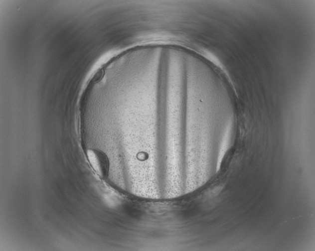 X0000080721472200701021041