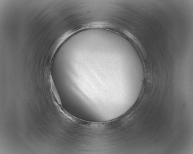 X0000080721473200701021041