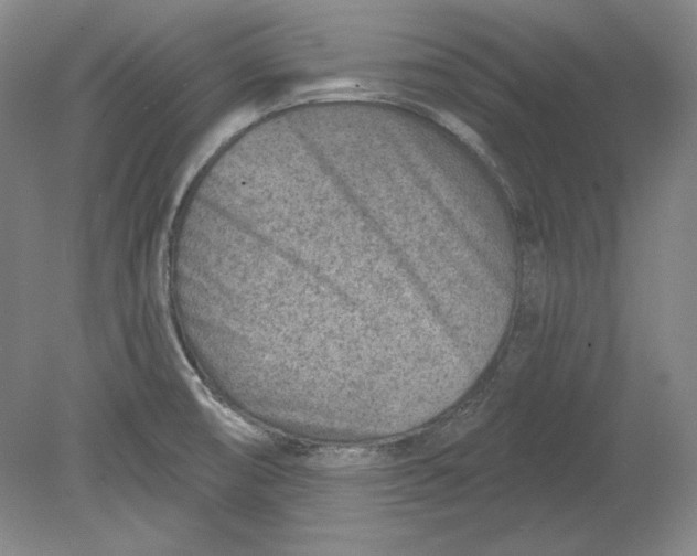 X0000080721474200701021041