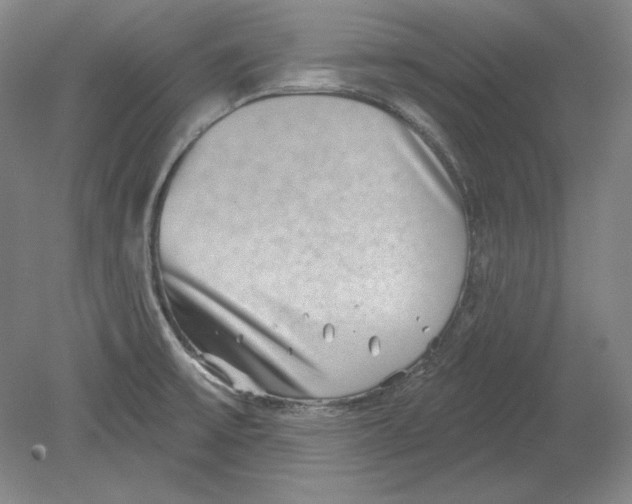 X0000080721475200701021041