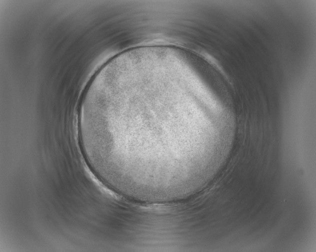 X0000080721476200701021041