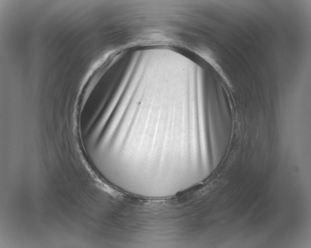 X0000080721477200701021041