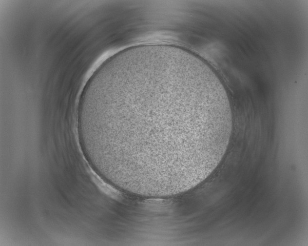 X0000080721478200701021041