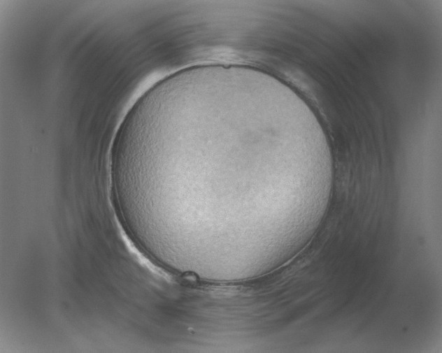 X0000080721479200701021041