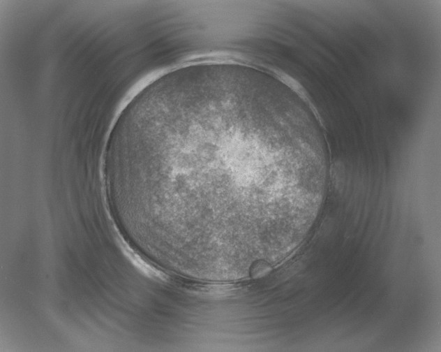 X0000080721482200701021041