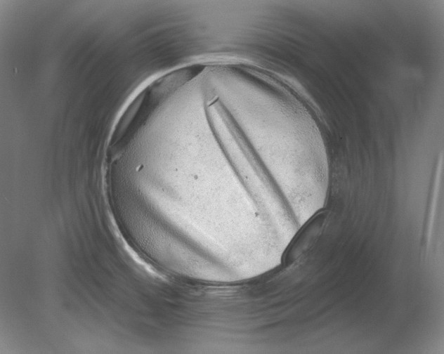 X0000080721484200701021041