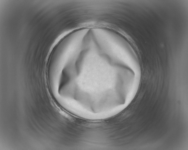 X0000080721486200701021041