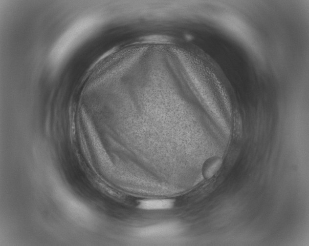 X0000080721487200701021041