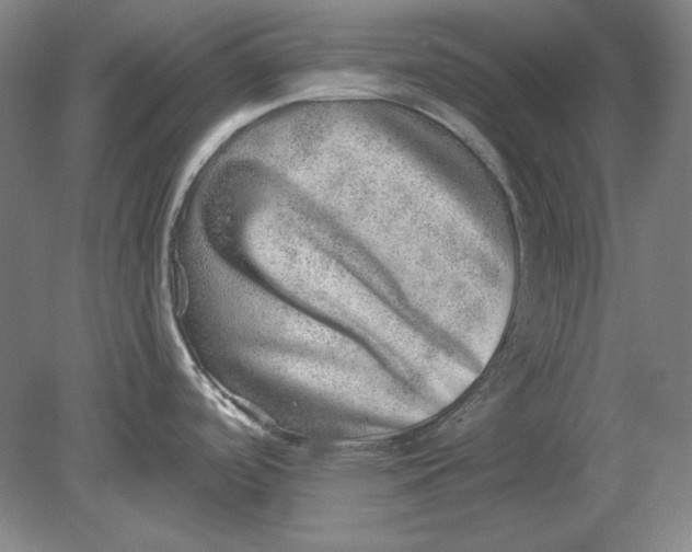 X0000080721488200701021041