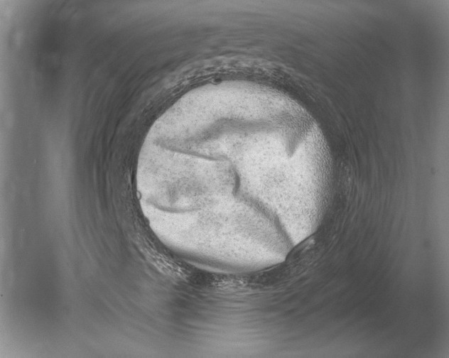 X0000080721489200701021040