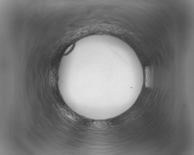 X0000080721491200701021040