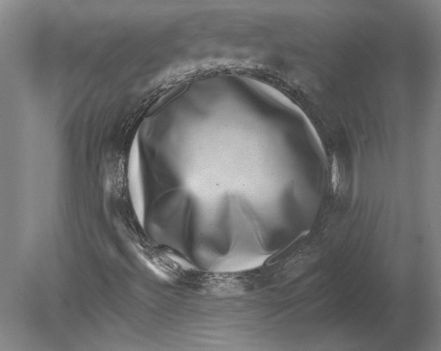 X0000080721492200701021040