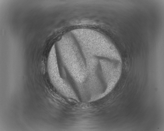 X0000080721493200701021040