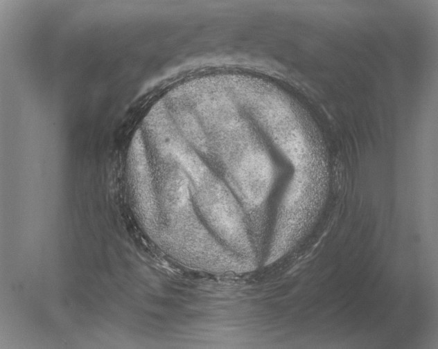 X0000080721494200701021040