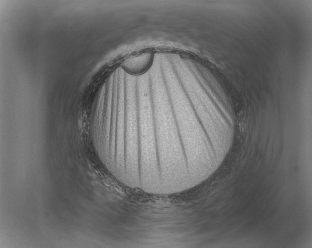 X0000080721495200701021040