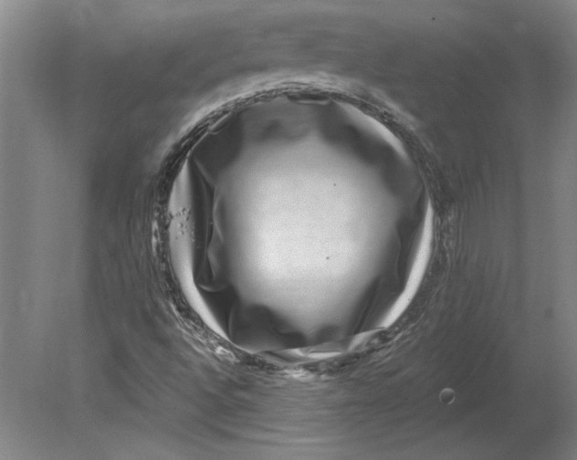 X0000080721496200701021040