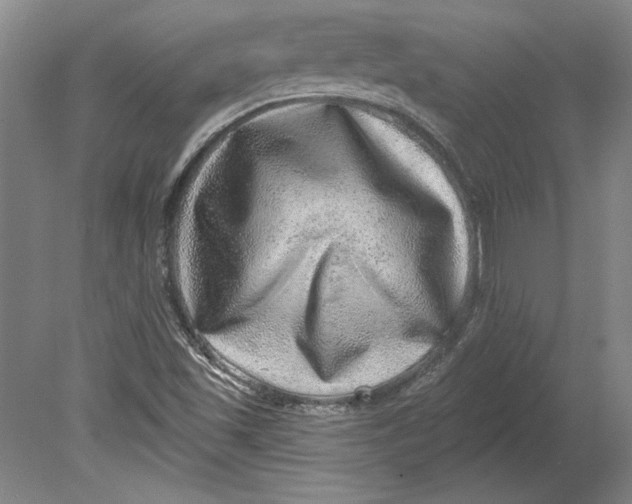 X0000080721501200701021040