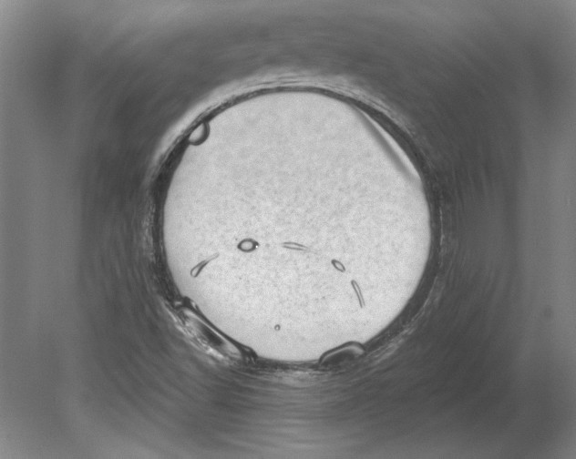 X0000080721502200701021040