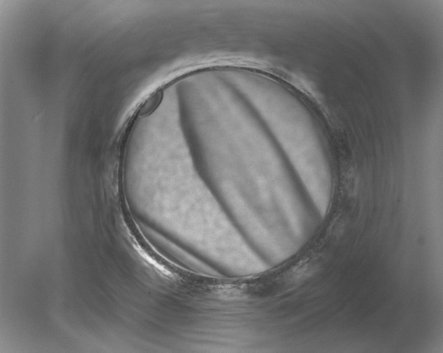 X0000080721504200701021041