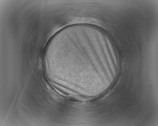 X0000080721505200701021041