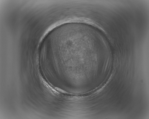 X0000080721506200701021041