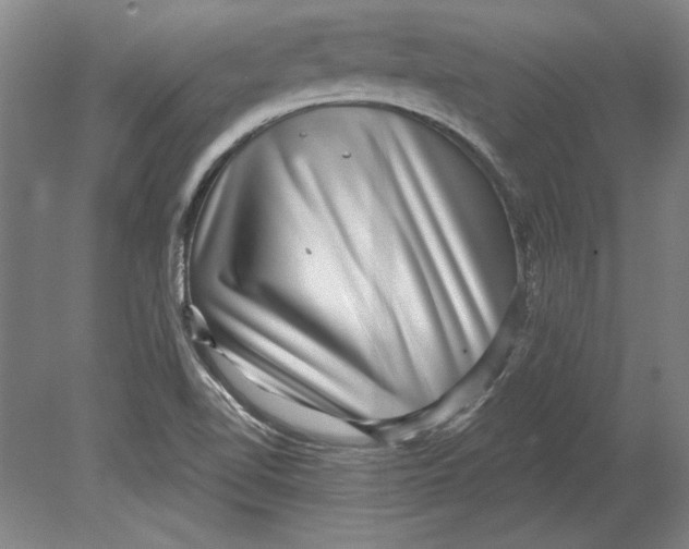 X0000080721510200701021041