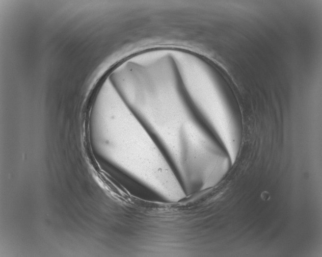 X0000080721511200701021041