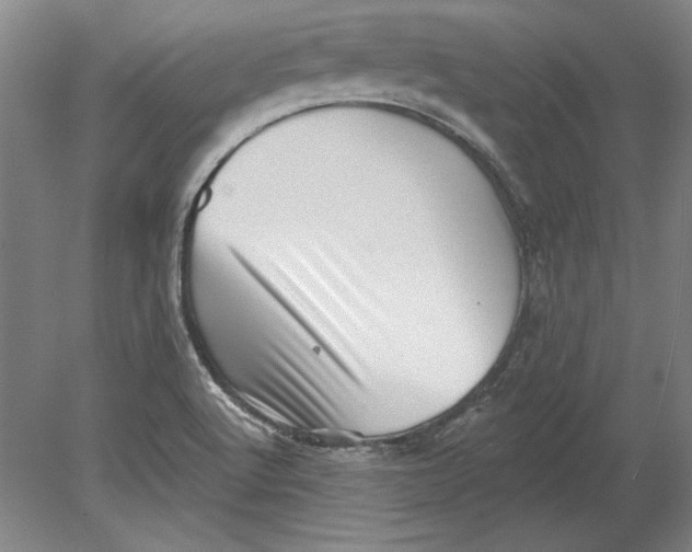 X0000080721512200701021041