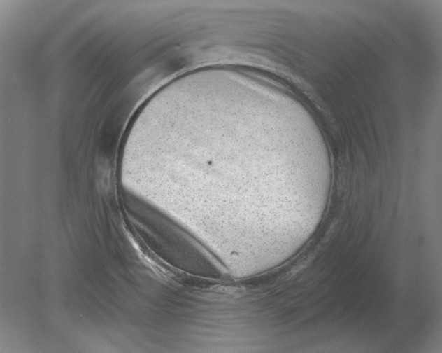 X0000080721513200701021041