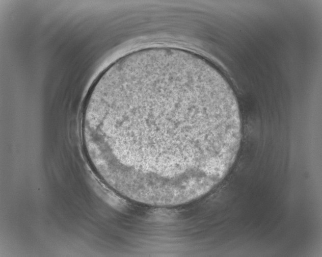 X0000080721514200701021041