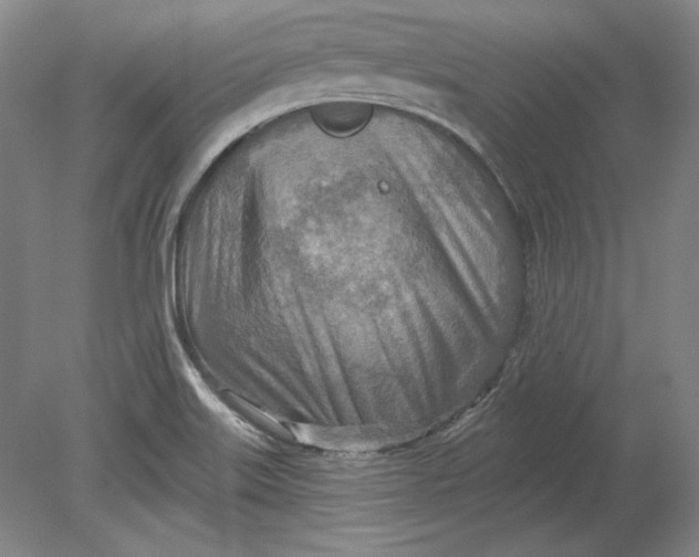 X0000080721515200701021041