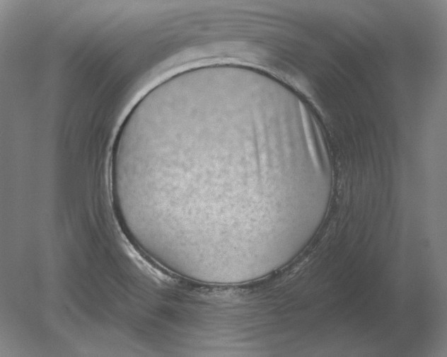 X0000080721516200701021041